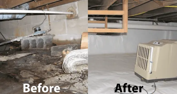 Before and after photos of a crawl space: damaged and damp before, sealed with a white liner and dehumidifier after